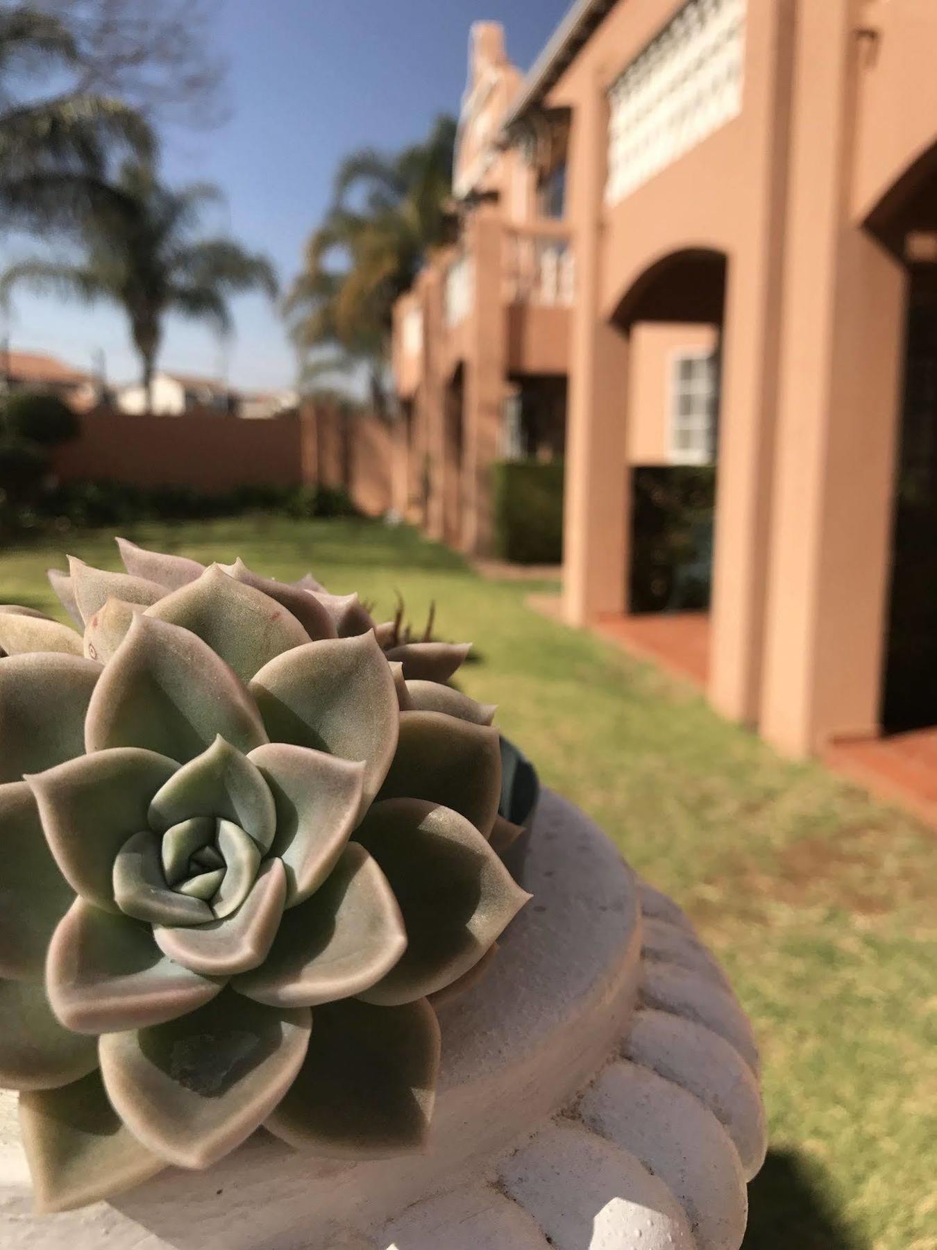 The Elegant Lodge Menlo Park Pretoria-Noord Exteriér fotografie